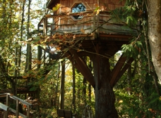 Gallery Image Number 1