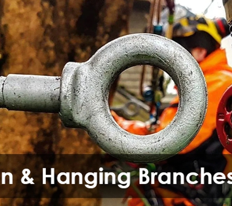 Global Arborist Australia - Port Melbourne, VIC. Broken & Hanging Branches