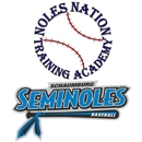 Noles Nation Training Academy - Schaumburg Seminoles Baseball - Baseball Instruction