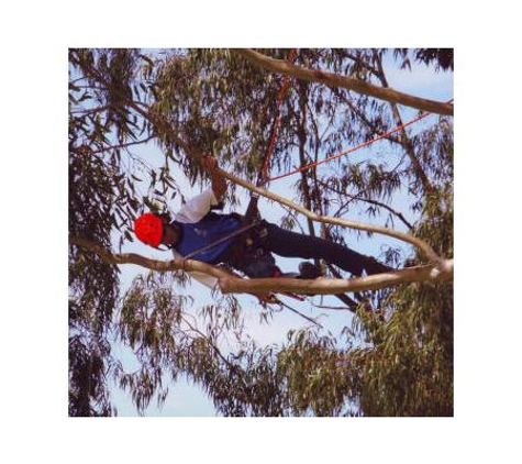 CPD Tree Services - Helena Valley, WA