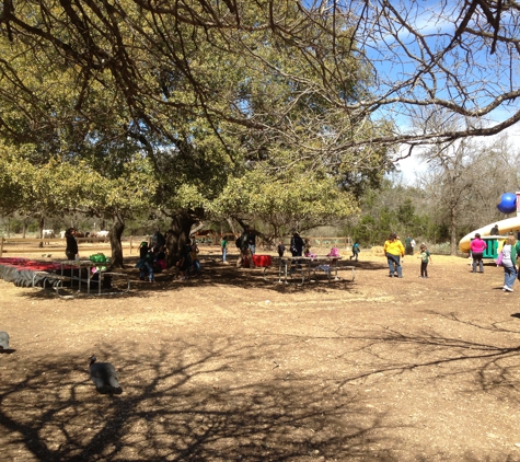 Fiesta Farm - San Antonio, TX