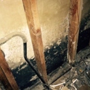 Mold Experts of Missouri & Kansas - Mold Remediation