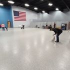 Bonafide Dog Academy