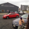 Plagido's Winery gallery