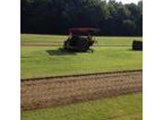 T & R Sod Farms - Lexington, AL