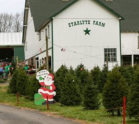 Starlyte Christmas Tree Farm - Douglassville, PA