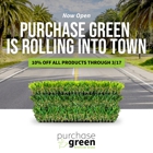 Purchase Green Artificial Grass