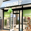 Cariloha Plano gallery