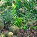 Portilla Landscaping Corp. - Tree Service