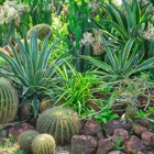 Mid Georgia Landscape Solutions