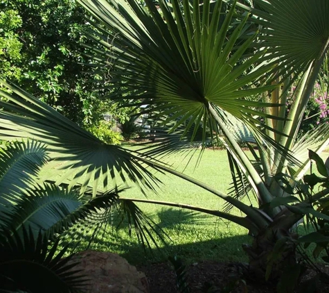 Territory Landscapes - Howard Springs, NT