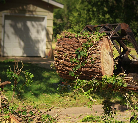 Abe's Lawn & Tree Service