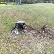 Gallery Image Number 6
