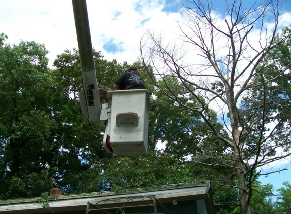 Collins Tree Service - Mebane, NC