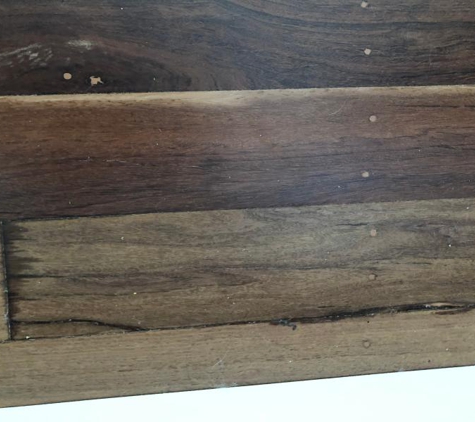 Signature Sanding - Runaway Bay, QLD