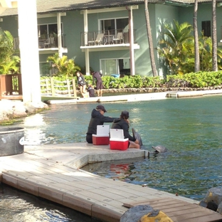 Dolphin Quest Oahu - Honolulu, HI