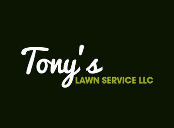 Tony's Lawn Service