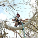 Garrett's Tree Service - Arborists