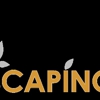 Landscaping Guys gallery