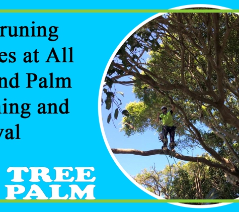 All Tree And Palm Trimming And Removal. Tree Pruning Services At All Tree And Palm Trimming And Removal