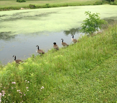 Lebanon Stoever's Dam Nature - Lebanon, PA