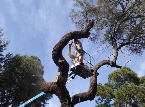 Gardner's Fencing & Tree Svc - Hudson, FL