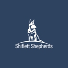 Shiflett Shepherds