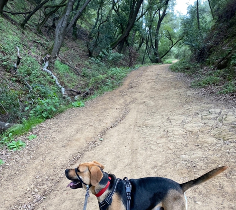 Redwood Regional Park - Oakland, CA