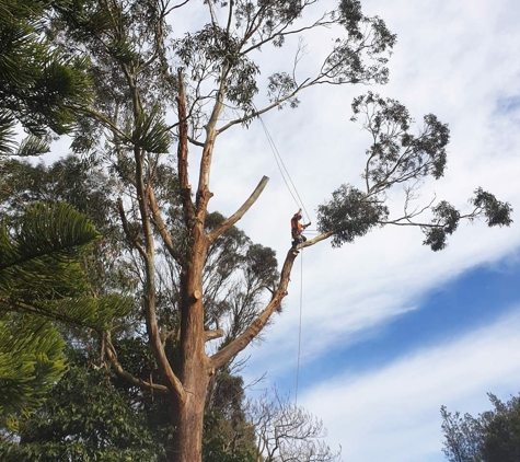 Rob's Tree Service - Tyers, VIC