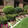 Green Grove Landscaping gallery