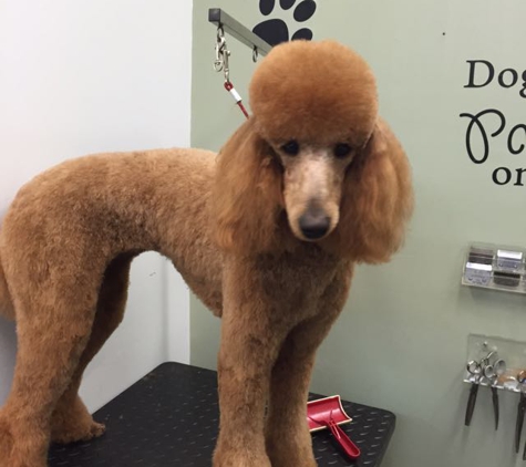 Spot On Pet Grooming - White Lake, MI