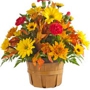 Royer's Flowers & Gifts