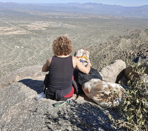 Fit Dog Training - Phoenix, AZ. Elisa and Hulk enjoying the view