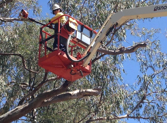 Steve McGrath's Tree Service - Parkes, NSW