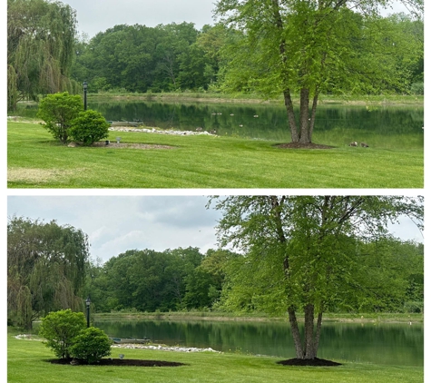 Green Light Landscaping - Danville, IL