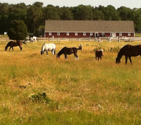 Bits & Bridles Farm - South Dennis, MA