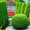 Colorscape Landscaping gallery