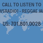 American Radio Network Inc