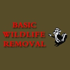 Basic Wildlife Removal