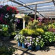 Encinal Nursery