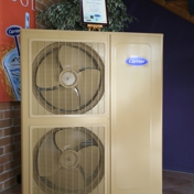 Gallery Image Number 2