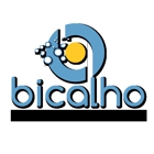 Bicalho Pro Services LLC