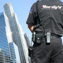 Moonlight Security, Inc. - Security Equipment & Systems Consultants