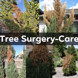 AB Tree Doctor - Bakersfield, CA