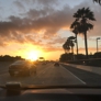Photo #11