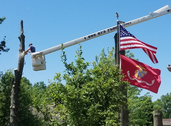 Td's Tree Service & STUMP Removal - Knox, IN