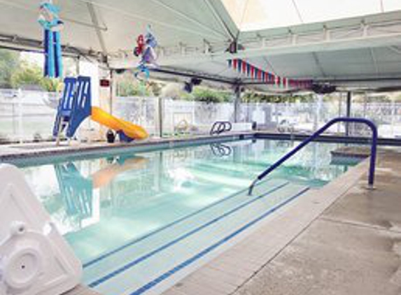 Sea Otter Swim Lessons - Loomis, CA