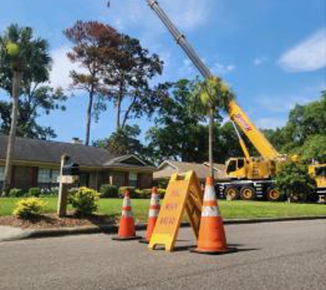 Georgia Tree Solutions Group - Savannah, GA