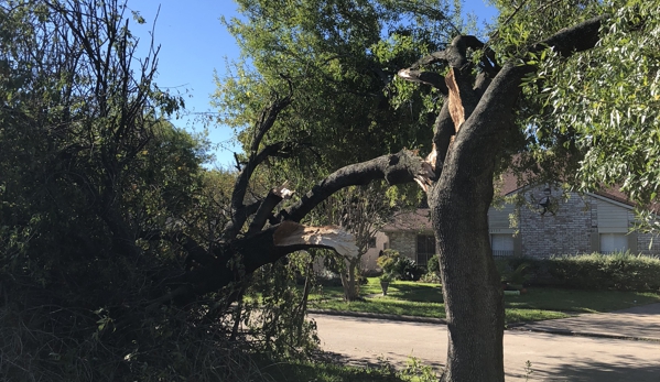 Adolfo Tree Service - Houston, TX. Thunder stump in Houston Texas tree damage by lightning