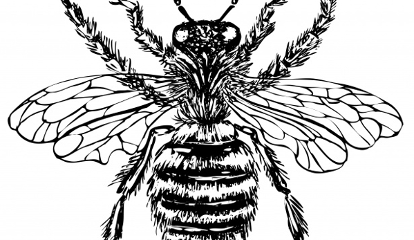 The Bee Man LLC